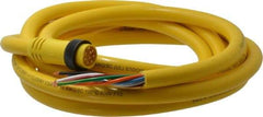 Brad Harrison - 7 Amp, Male Straight to Pigtail Cordset Sensor and Receptacle - 600 Volt, 3.66m Cable Length, IP67 Ingress Rating - Makers Industrial Supply