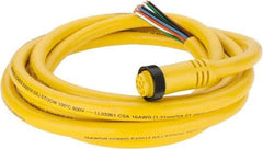 Brad Harrison - 7 Amp, Female Straight to Pigtail Cordset Sensor and Receptacle - 600 Volt, 3.66m Cable Length, IP67 Ingress Rating - Makers Industrial Supply