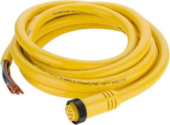 Brad Harrison - 7 Amp, Female Straight to Pigtail Cordset Sensor and Receptacle - 600 Volt, 3.66m Cable Length, IP67 Ingress Rating - Makers Industrial Supply