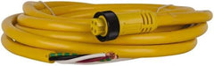 Brad Harrison - 10 Amp, Female Straight to Pigtail Cordset Sensor and Receptacle - 600 Volt, 3.66m Cable Length, IP67 Ingress Rating - Makers Industrial Supply