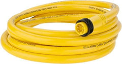 Brad Harrison - 8 Amp, Male Straight to Pigtail Cordset Sensor and Receptacle - 600 Volt, 3.66m Cable Length, IP67 Ingress Rating - Makers Industrial Supply