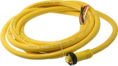 Brad Harrison - 8 Amp, Female Straight to Pigtail Cordset Sensor and Receptacle - 600 Volt, 3.66m Cable Length, IP67 Ingress Rating - Makers Industrial Supply