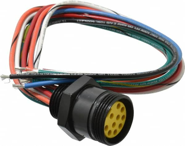 Brad Harrison - 7 Amp, Female Straight Receptacle - 600 VAC/VDC, 0.31m Cable Length, IP67 Ingress Rating - Makers Industrial Supply