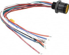 Brad Harrison - 5 Amp, Male Straight Receptacle - 600 VAC/VDC, 0.31m Cable Length, IP67 Ingress Rating - Makers Industrial Supply