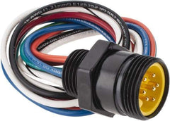 Brad Harrison - 8 Amp, Male Straight Receptacle - 600 VAC/VDC, 0.31m Cable Length, IP67 Ingress Rating - Makers Industrial Supply