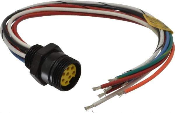 Brad Harrison - 7 Amp, Female Straight Receptacle - 600 VAC/VDC, 0.31m Cable Length, IP67 Ingress Rating - Makers Industrial Supply