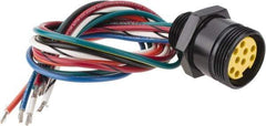 Brad Harrison - 7 Amp, Female Straight Receptacle - 600 VAC/VDC, 0.31m Cable Length, IP67 Ingress Rating - Makers Industrial Supply