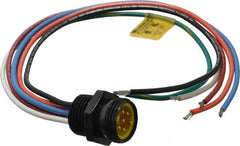 Brad Harrison - 8 Amp, Male Straight Receptacle - 600 VAC/VDC, 0.31m Cable Length, IP67 Ingress Rating - Makers Industrial Supply