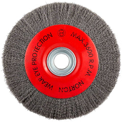 Norton - 10" OD, 3/4" Arbor Hole, Crimped Carbon Wheel Brush - Makers Industrial Supply