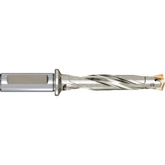 Replaceable Tip Drill: 0.8661 to 0.9016'' Drill Dia, 7.25″ Max Depth, 1'' Shank Seat Size 0.2780, Through Coolant