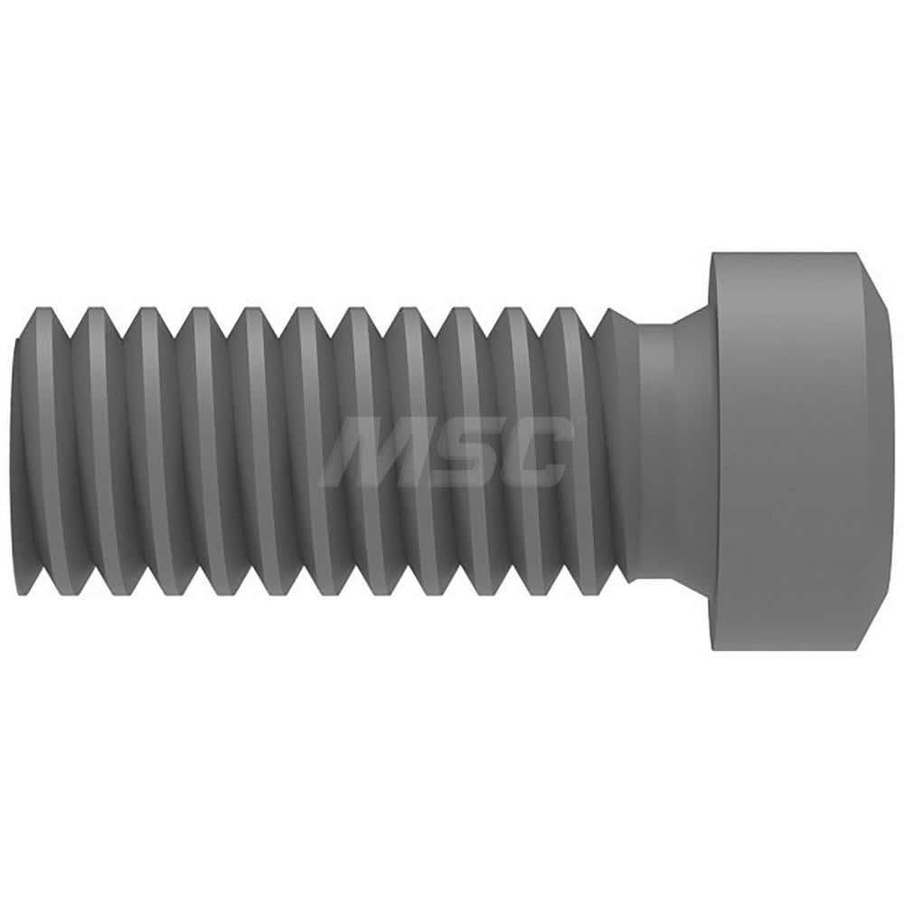 Lock Screw for Indexables: 8IP, Torx Drive, M2.5 Thread