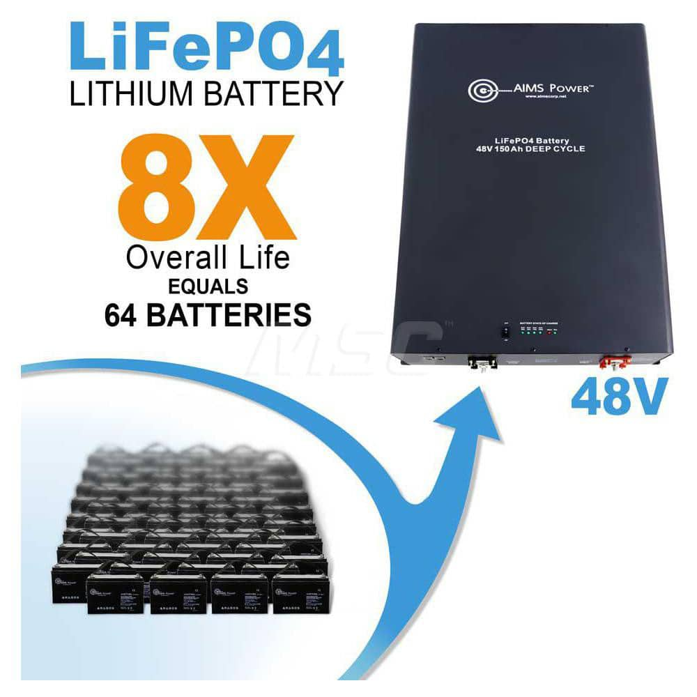 LiFePO4 Battery: Lithium-ion Phosphate 48V, Nut & Bolt Terminal