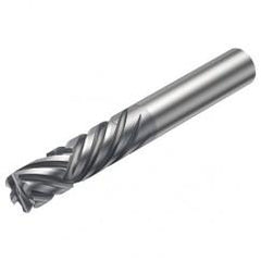 2P460-1270-NA 1630 12.7mm 6 FL Straight Center Cut w/Cylindrical Shank - Makers Industrial Supply