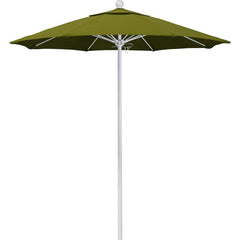 Patio Umbrellas; Diameter (Feet): 7.5; Height (Feet): 8.000; Fabric Color: Ginkgo; Base Included: No; Canopy Fabric: Pacifica; Fade Resistant: Yes; Additional Information: Push Lift; Frame Material: Aluminum