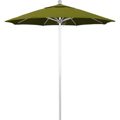 Patio Umbrellas; Diameter (Feet): 7.5; Height (Feet): 8.000; Fabric Color: Ginkgo; Base Included: No; Canopy Fabric: Pacifica; Fade Resistant: Yes; Additional Information: Push Lift; Frame Material: Aluminum