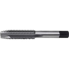 Cle-Line - Spiral Point Taps Thread Size (Inch): 5/8-11 Number of Flutes: 3 - Makers Industrial Supply