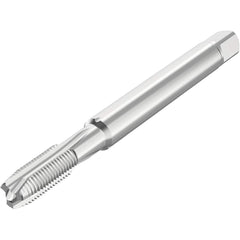 Seco - Spiral Point Taps Thread Size (mm): M5 Number of Flutes: 3 - Makers Industrial Supply