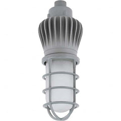 Hubbell Lighting - Hazardous Location Light Fixtures Resistance Features: Vaporproof Recommended Environment: Indoor; Outdoor - Makers Industrial Supply