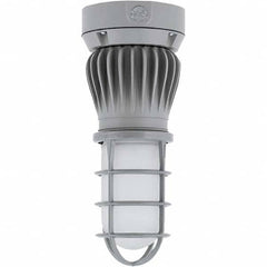 Hubbell Lighting - Hazardous Location Light Fixtures Resistance Features: Vaporproof Recommended Environment: Indoor; Outdoor - Makers Industrial Supply