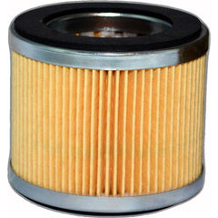 Replacement/Interchange Hydraulic Filter Element: Cellulose, 25  µ