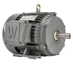 Worldwide Electric - Electric AC/DC Motors Motor Type: Premium Efficient Type of Enclosure: TEFC - Makers Industrial Supply