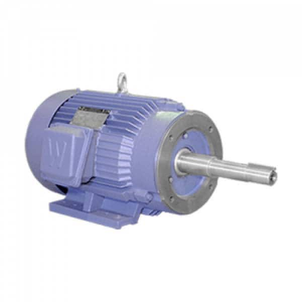 Worldwide Electric - Electric AC/DC Motors Motor Type: Premium Efficient Type of Enclosure: TEFC - Makers Industrial Supply