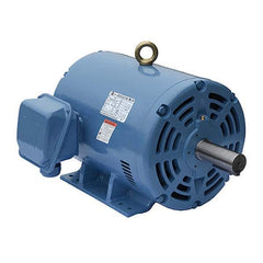 Worldwide Electric - Electric AC/DC Motors Motor Type: Premium Efficient Type of Enclosure: ODP - Makers Industrial Supply