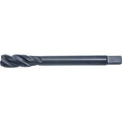 Cleveland - Spiral Flute Taps Thread Size (mm): M5x0.8 Chamfer: Modified Bottoming - Makers Industrial Supply