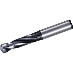 Replaceable Tip Drill: 12 to 12.49 mm Drill Dia, 37.5 mm Max Depth, 14 mm Straight-Cylindrical Shank Seat Size 12, 101 mm OAL, Through Coolant