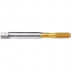 Emuge - 1/2-13 UNC 2B Modified Bottoming Thread Forming Tap - Makers Industrial Supply