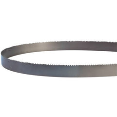 19' 3″ Length, 2″ Width, 0.063″ Thickness, 3/4 VT Teeth Per Inch, RX+ Welded Band Saw Blade - Exact Industrial Supply