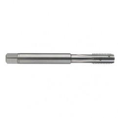 M5 x 0.8 Dia. - 6H - 4 FL - Carbide Semi-Bott Tap - Bright Finish-Coolant-Thru-FORM-C - Makers Industrial Supply