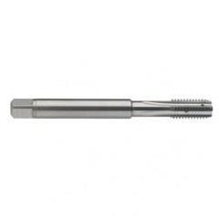 M6 x 1.0 Dia. - 6H - 4 FL - Carbide Semi-Bott Tap - Bright Finish-Coolant-Thru-FORM-C - Makers Industrial Supply