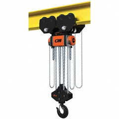 CM - 33,069 Lb Capacity, 30' Lift Height, Manual Chain Hoist - Makers Industrial Supply