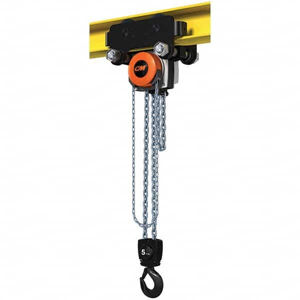 CM - 11,023 Lb Capacity, 30' Lift Height, Manual Chain Hoist - Makers Industrial Supply