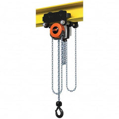 CM - 4,409 Lb Capacity, 30' Lift Height, Manual Chain Hoist - Makers Industrial Supply