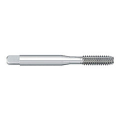 Titan USA - Thread Forming Taps; Thread Size (mm): M10x1.50 ; Class of Fit: 6H ; Thread Limit: D11 ; Chamfer: Bottoming ; Finish/Coating: Uncoated ; Material: High Speed Steel - Exact Industrial Supply