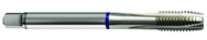 6-40 Dia. - 2B - 3 FL - Cobalt Spiral Point Plug Blue Ring Tap - Bright FORM-B DIN 374 - Makers Industrial Supply