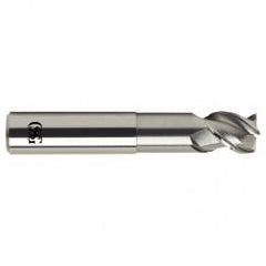 1 Dia. x 6 Overall Length 3-Flute .060 C/R Solid Carbide SE End Mill-Round Shank-Center Cutting-Uncoated - Makers Industrial Supply