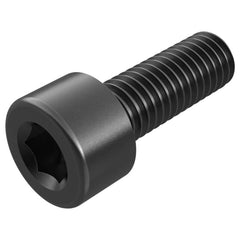 Locking Screw for Indexables: Hex Drive, M12 Thread