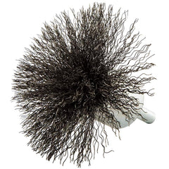 Norton - End Brushes Brush Diameter (Inch): 3 Fill Material: Carbon Steel - Makers Industrial Supply