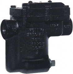 Hoffman Speciality - 2 Port, 3/4" Pipe, Stainless Steel Inverted Bucket Steam Trap - 180 Max psi - Makers Industrial Supply