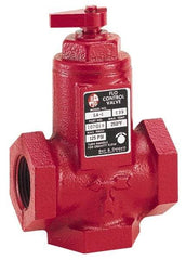 Bell & Gossett - 2" Pipe, Cast Iron Manually Operated Plumbing Valve - Buna Seal, FNPT - Makers Industrial Supply