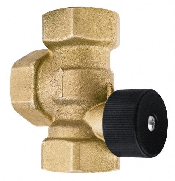 Bell & Gossett - 1-1/4" Pipe, Brass Manually Operated Plumbing Valve - Buna Seal, FNPT - Makers Industrial Supply