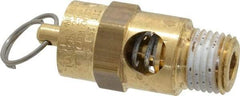 Conrader - 1/4" Inlet, ASME Safety Relief Valve - 125 Max psi, Brass, 116 Cubic' per Min - Makers Industrial Supply