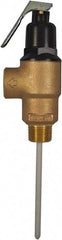 CASH ACME - 3/4" Inlet, 3/4" Outlet, MNPT x MNPT, ASME Safety Relief Valve - 150 Max psi, Bronze, 500000 BTUs - Makers Industrial Supply