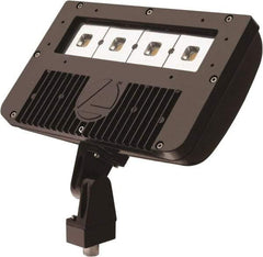 Lithonia Lighting - 1 Head, 120-277 Volt, 78 Watt, LED Floodlight Fixture - Pole Mount & Wall Mount & Ground, 3-5/16" Long x 12-7/8" Wide x 7-3/4" High, Aluminum Housing - Makers Industrial Supply