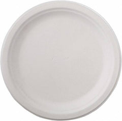 Chinet - Chinet Paper Plates, 9 3/4" - White - Makers Industrial Supply