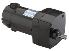 Leeson - 1/15 Max hp, 142 Max RPM, Electric AC DC Motor - 115 V Input, Single Phase, 31 Frame - Makers Industrial Supply