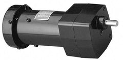 Leeson - 1/15 Max hp, 19 Max RPM, Electric AC DC Motor - 115 V Input, Single Phase, 31 Frame - Makers Industrial Supply